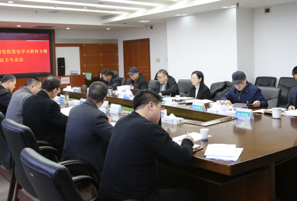 南宫NG28公司党组召开党史学习教育专题民主生活会