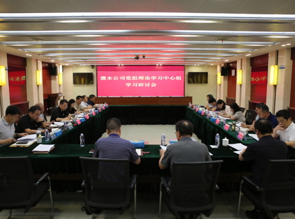 公司党组理论学习中心组专题学习研讨《中共中央办公厅 国务院办公厅关于全面推进江河；ぶ卫淼囊饧