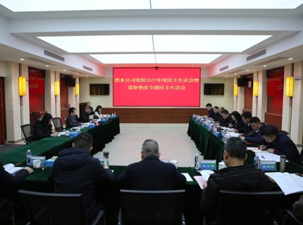 任红梅指导南宫NG28公司党组2025年度民主生活会暨巡察整改专题民主生活会